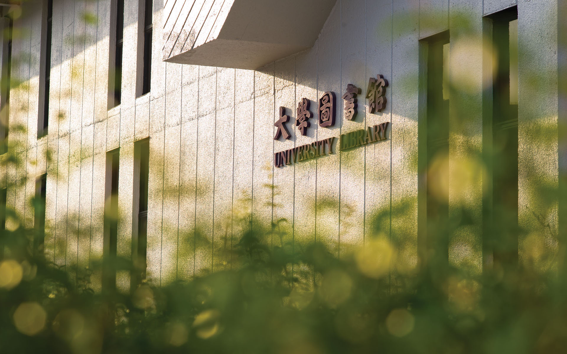 Accessible Facilities & Services in the Libraries
